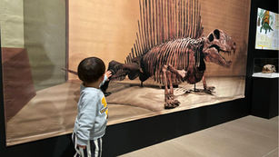 蕨（わらび）日記　2歳２か月 (文：天女（あまね）)