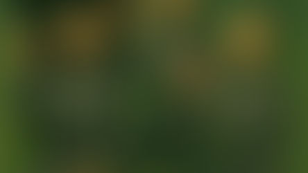 『いのちの未来』　(文：慶（kei）)