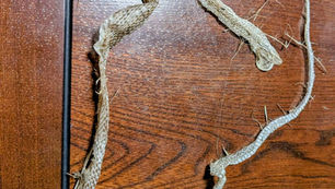 【静かな気付き】(文:佳津江)