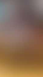 「やまと魂の覚醒!」 (文:希(まれ))