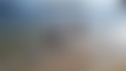 冬の海の出来事 (文:平井麻起)