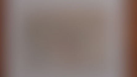 『わたしの仕事』という本について