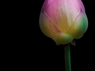 Nuturing the Buds Around You