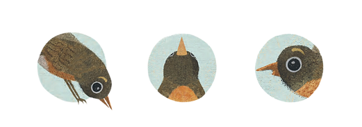 Once, as the winter ended, a little bird emerged to find the world had gone quiet. (1).png