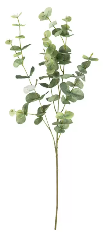 GALHO EUCALIPTO OUTONADO (VERDE) - 1UN