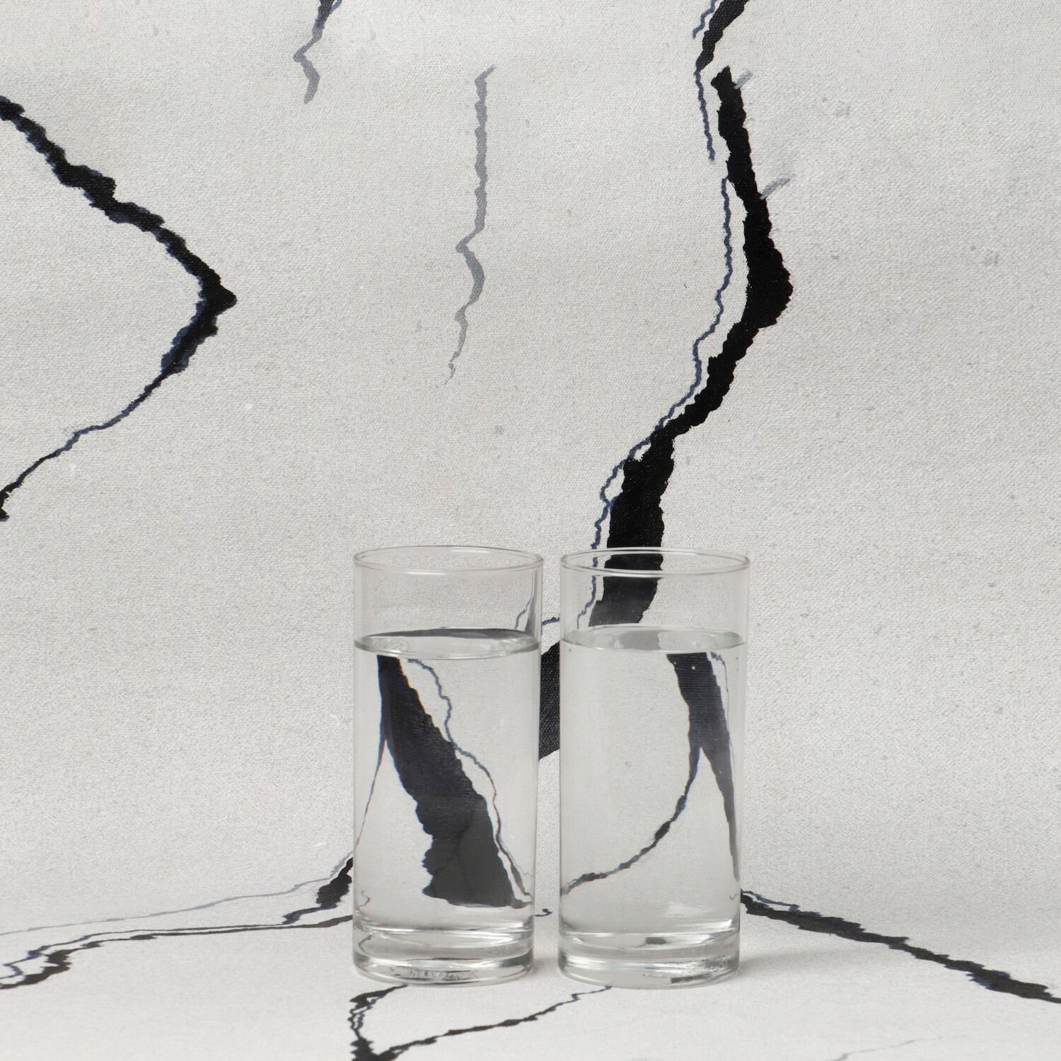 Handpainted Canvas Backdrops Black and White