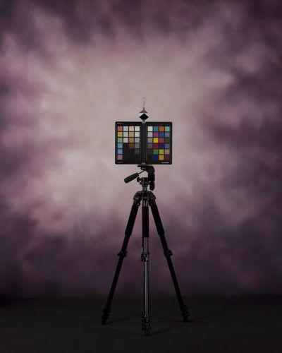 Thumbnail: Backdrops4Ever Renaissance Old Master Photography Backdrop