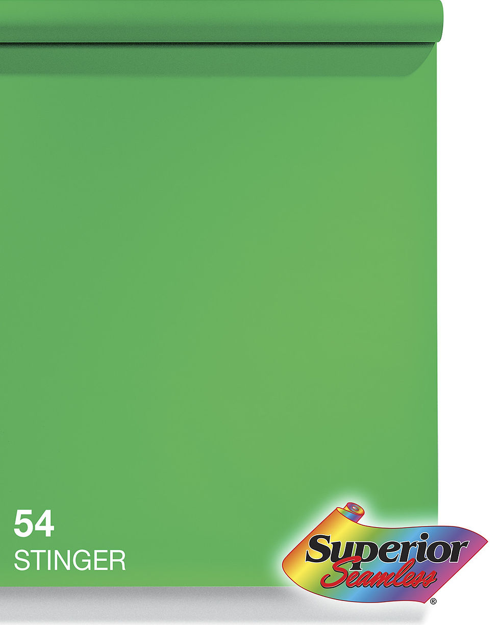 Thumbnail: Superior 54 STINGER