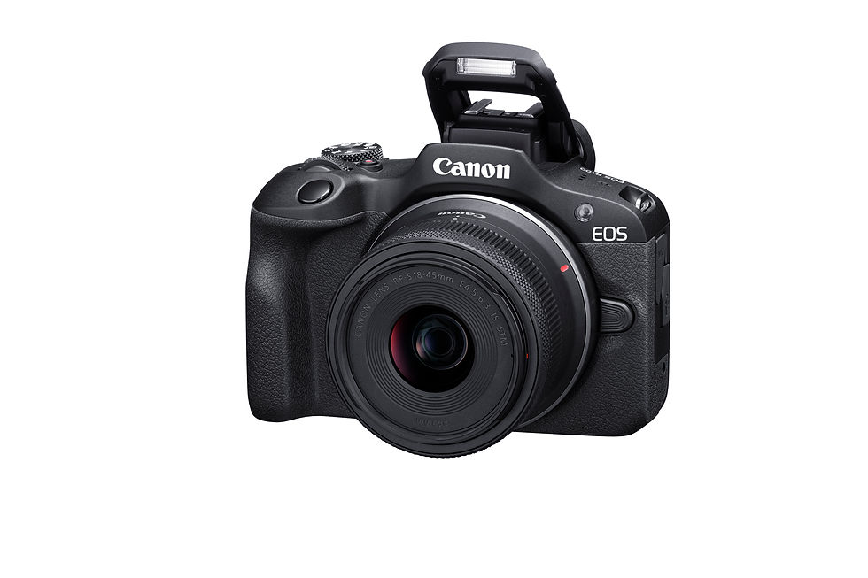 Thumbnail: EOS R100 (RF-S18-45mm f/4.5-6.3 IS STM)