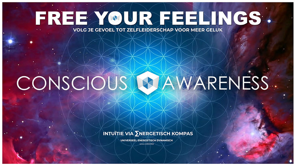 IMD90dAYS Free Your Feelings Conscious Awareness NLP Neuro Linguistic Inner MIrror Decoder confidence trauma release habits Intuition slef love Dennis Schoofs 