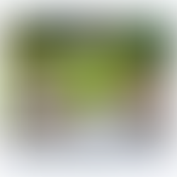 Van een passie kan je niet leven, of toch wel?