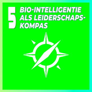 Chakra 5 Self Love Compassion compass