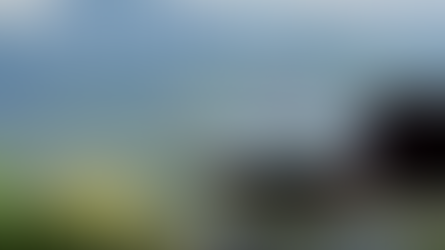 A Cup of Tea in Canada