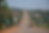 kampala-to-entebbe-wikipedia.png