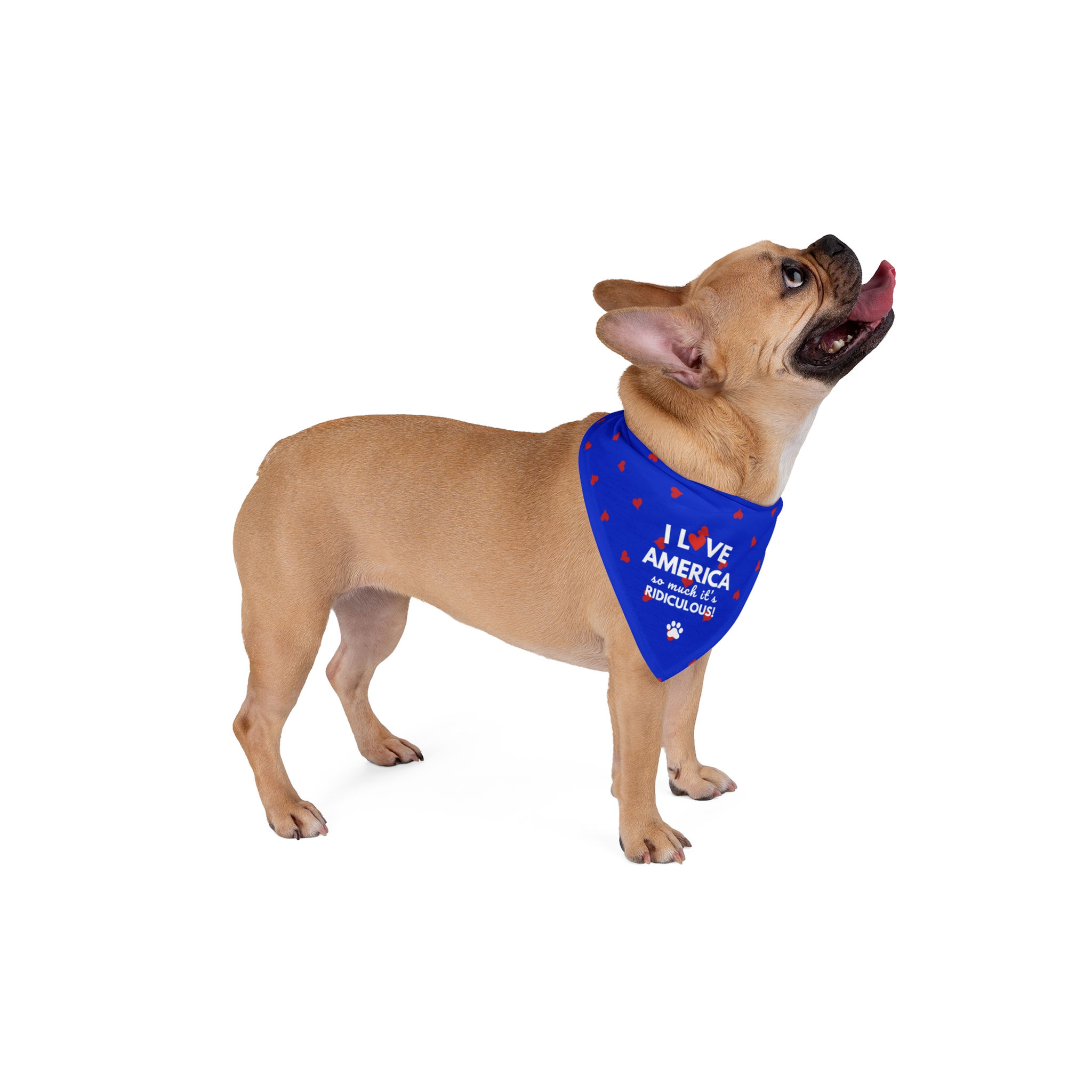 "I Love America So Much It's Ridiculous!" Americana Dog Bandana for Dog Lovers