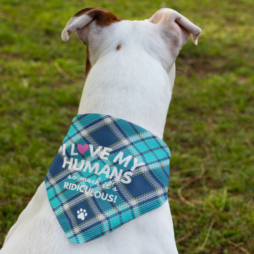 Thumbnail: Humans Dog Bandana "I Love My Humans So Much It's Ridiculous!" Pet Lover Gift