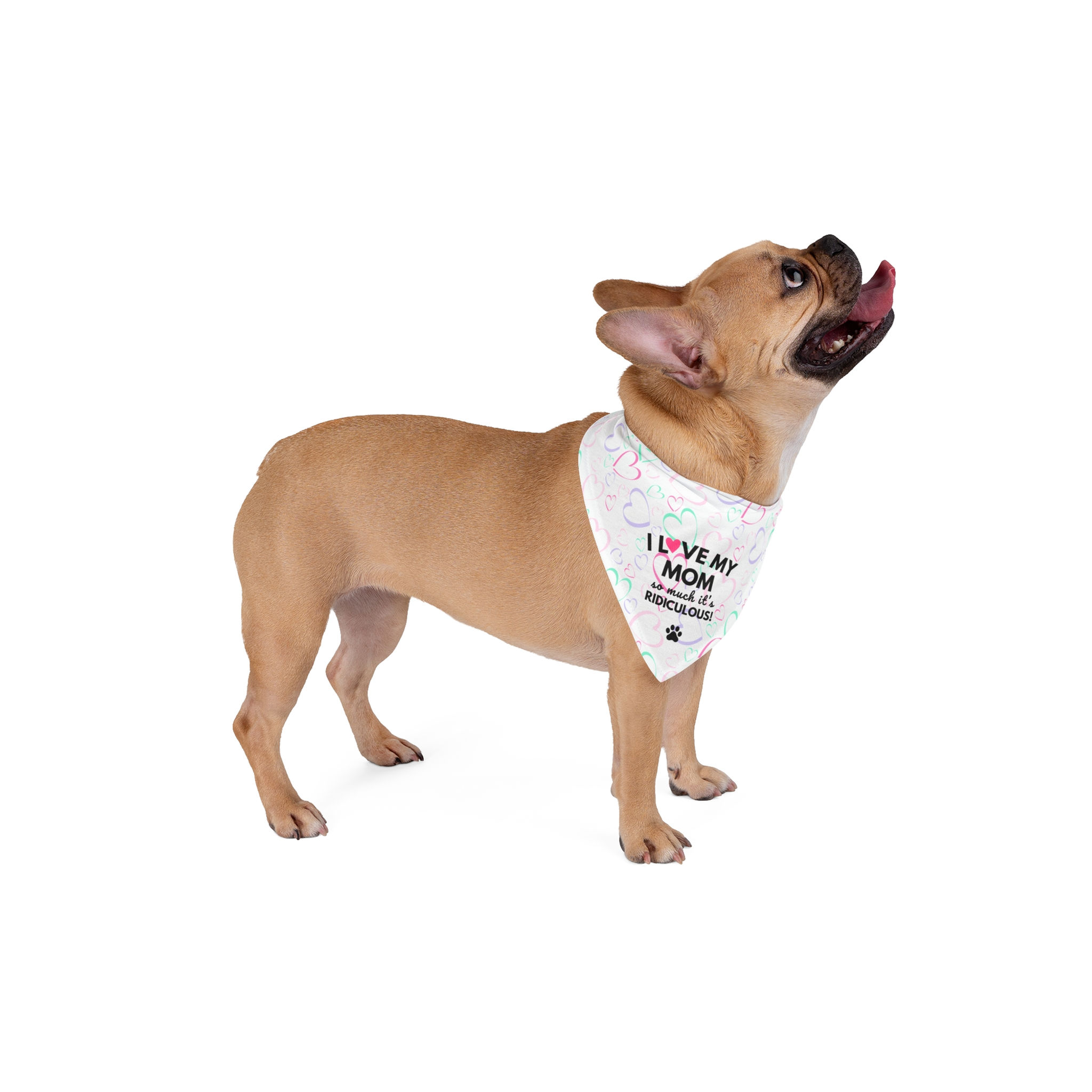 Dog Mom Bandana "I Love My Mom So Much It's Ridiculous!" Mother's Day Gift