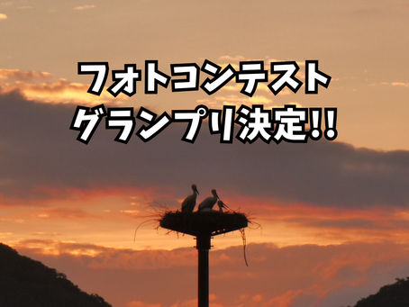 Instagramフォトコンテストグランプリ決定!!