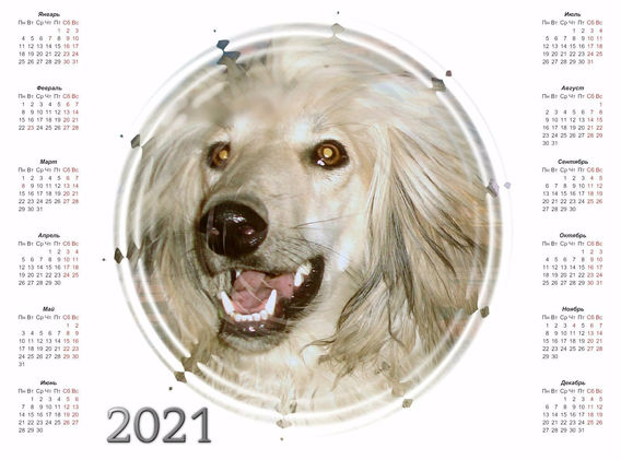 2021_10.jpg
