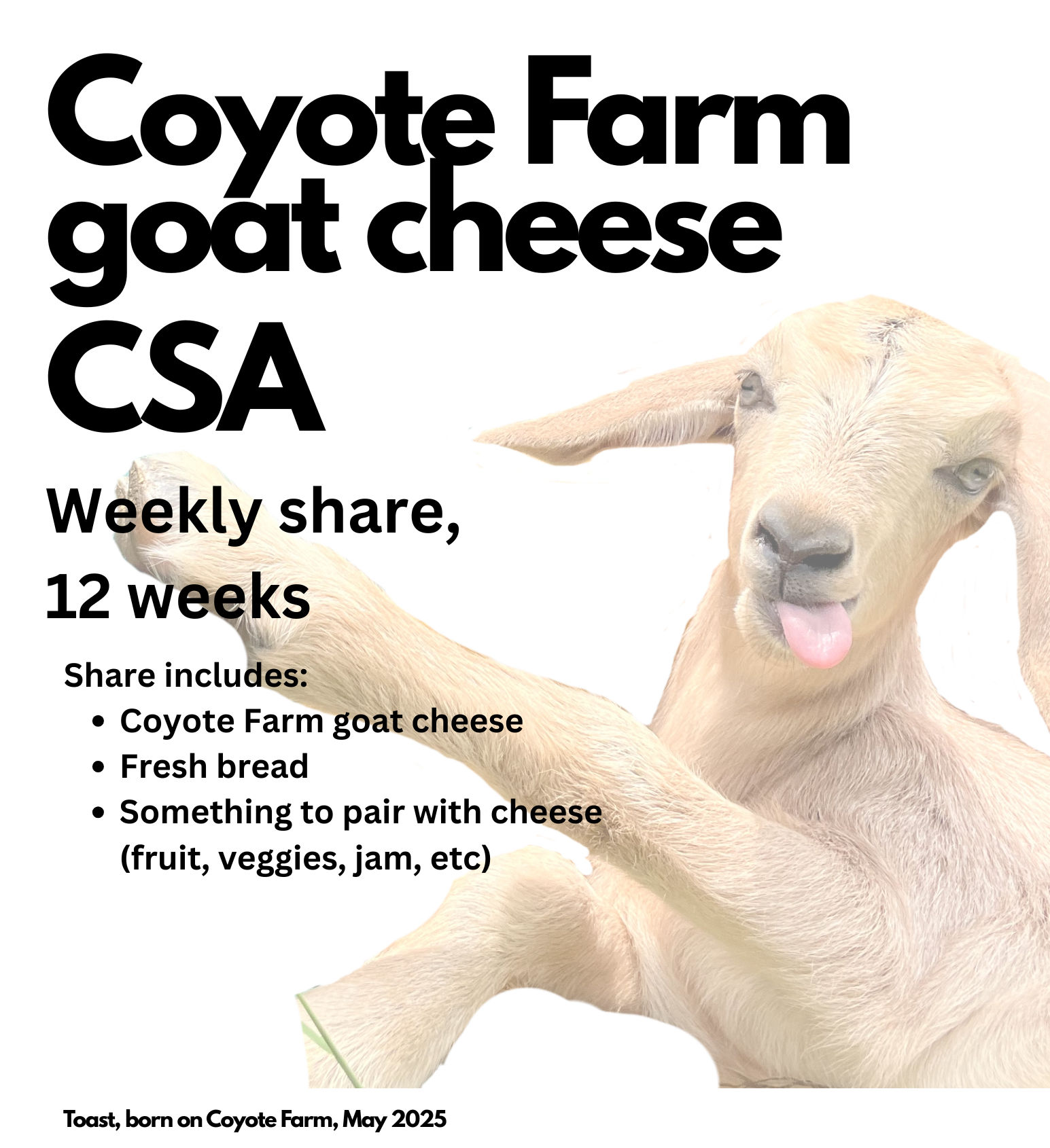Goat Cheese CSA