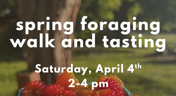 Spring Foraging Hike and Tasting 2026