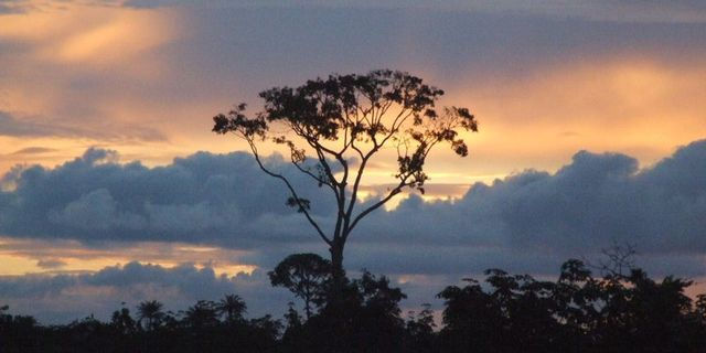 Liberian Sunset
