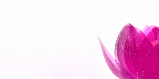 Design ohne Titel.gif