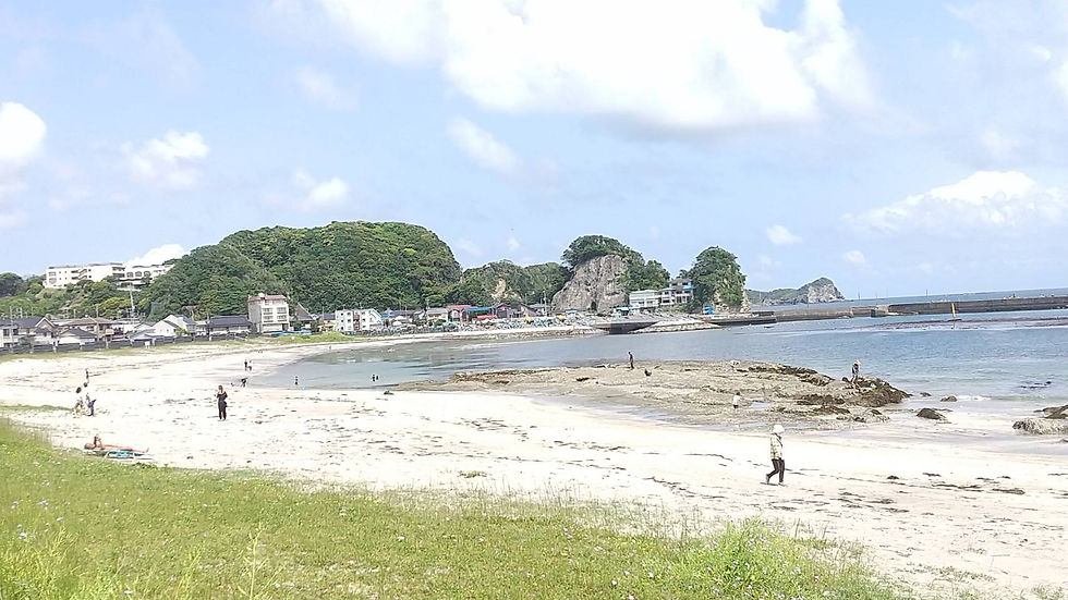 興津海岸砂浜2