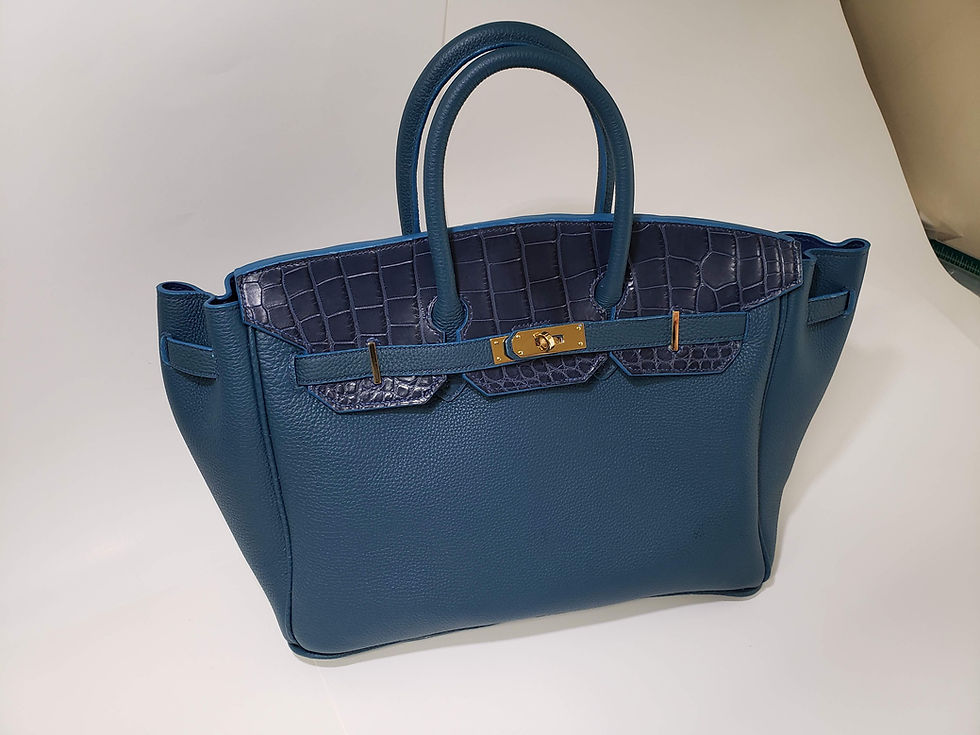 Full view of the Blaukin bag