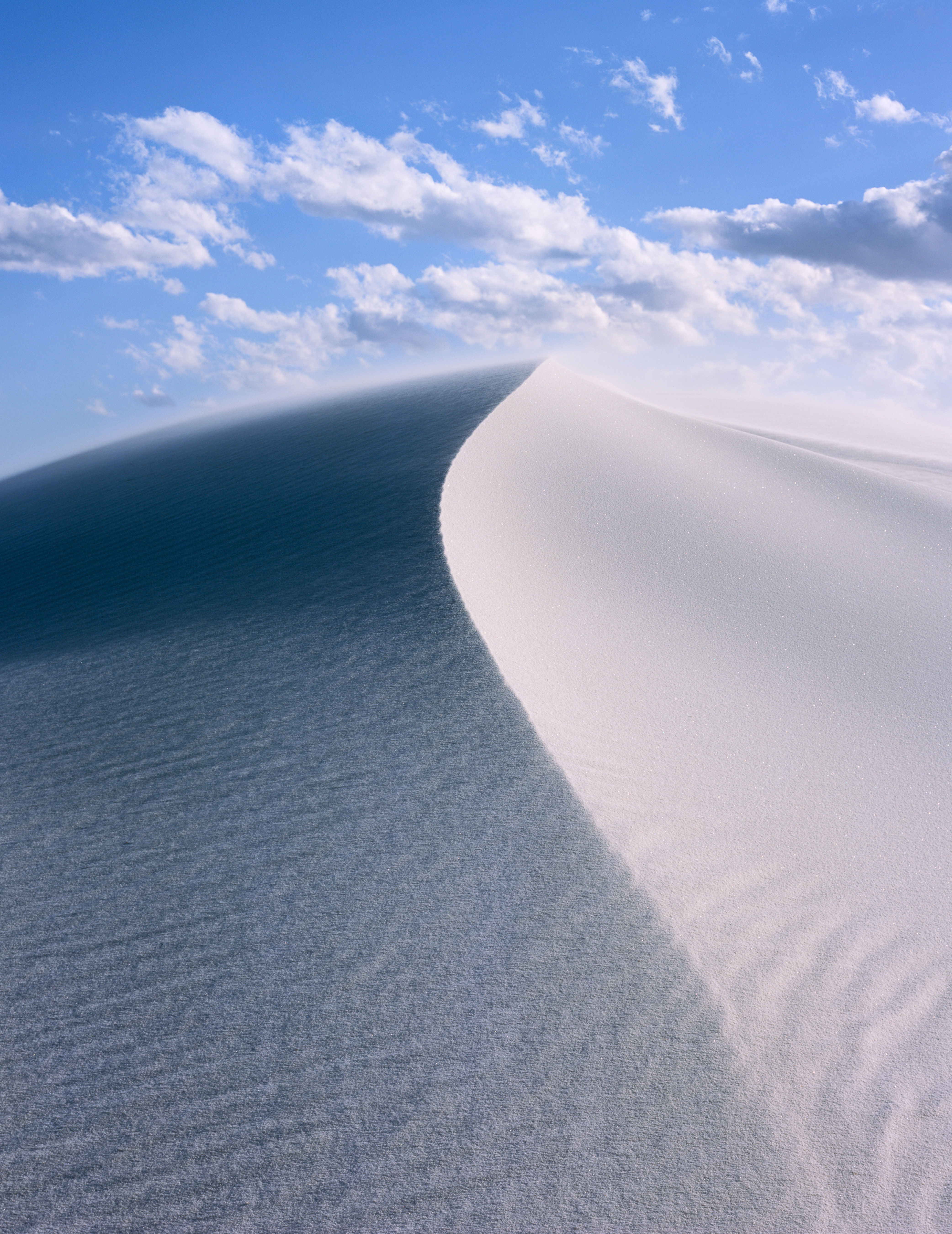 Michael Strickland: Windswept, 2018