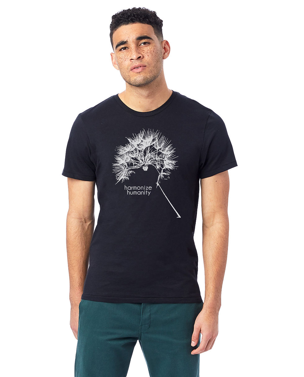 Thumbnail: WISH FOR HUMANITY unisex organic mid-light t-shirt (black)