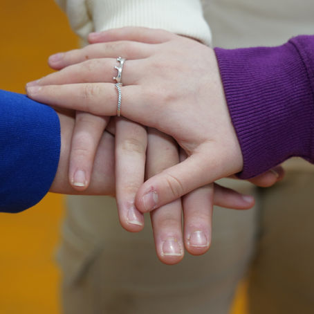 Scuola Trinko: programma le attività