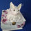 Miniaturbild: Forever Memory Box (1 Figurine)