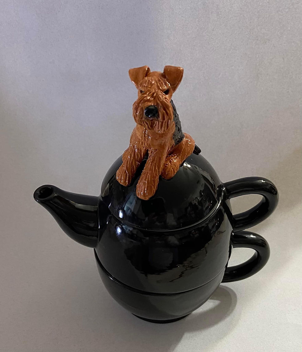 Miniaturbild: Individual Serving Teapot