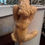 Miniaturbild: Climb to the Top Vase/Wine Cooler