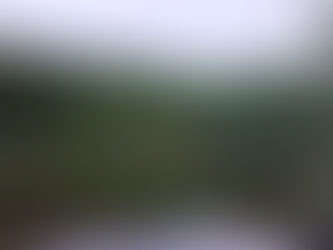 牛池周辺開花情報