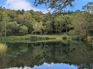 牛池周辺開花情報