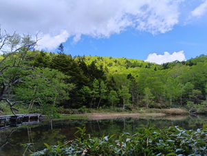 牛池周辺開花情報