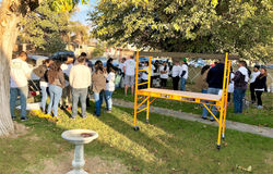 EARLY GROUP 132 DONNA