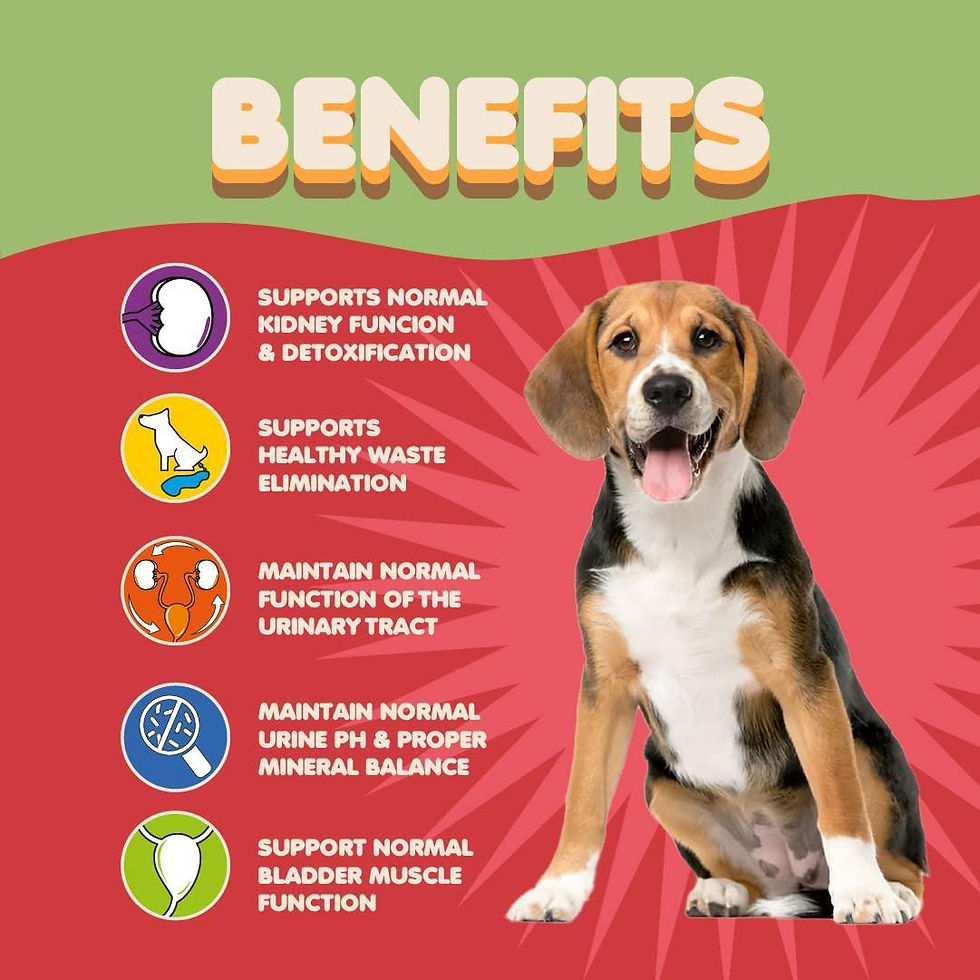 Thumbnail: Dog Cranberry Supplement   Natural Dog UTI Treatment & Kidney Support for Dogs.