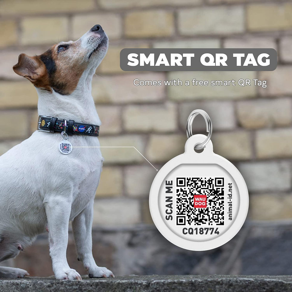 Thumbnail: Leather Dog Collar with NASA Design for XSmall Dogs 811 in Neck x 0.5 in Wide
