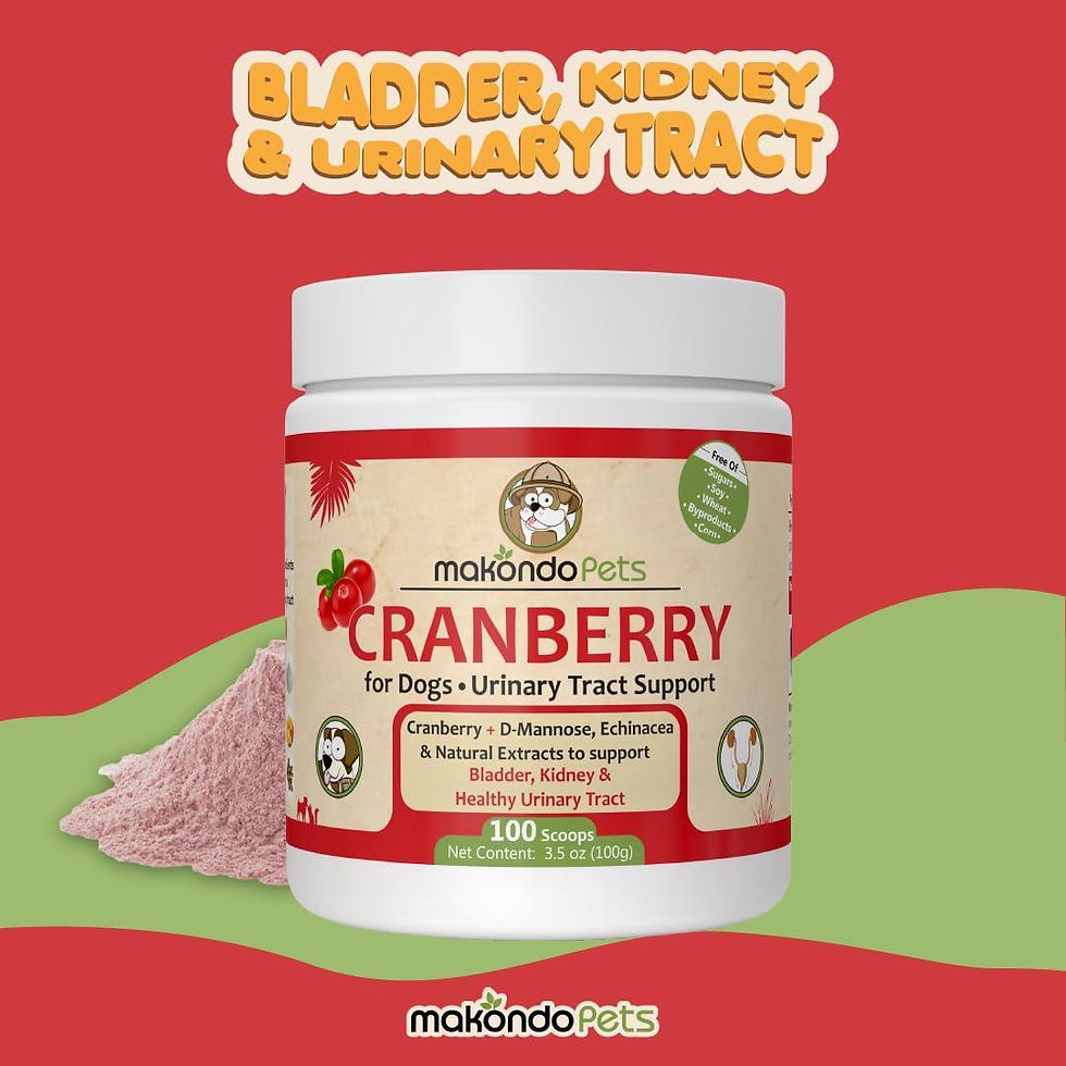 Thumbnail: Dog Cranberry Supplement   Natural Dog UTI Treatment & Kidney Support for Dogs.