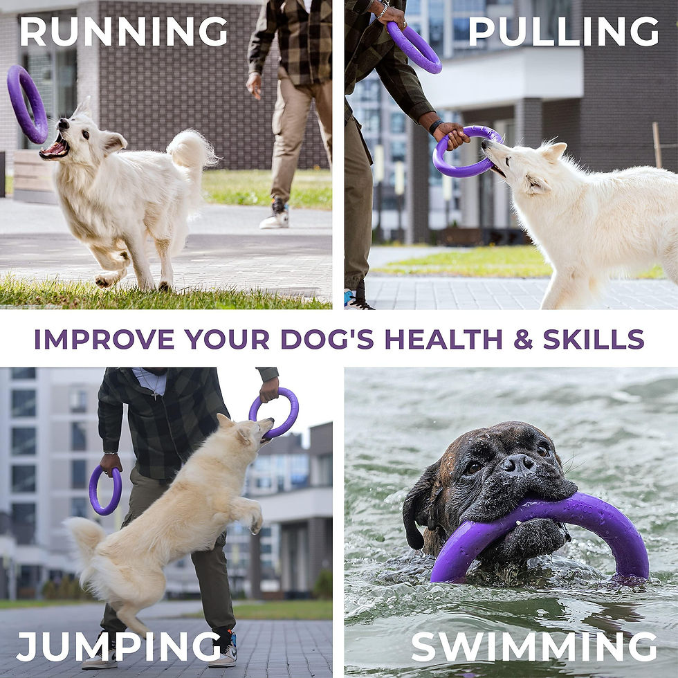 Thumbnail: Puller Outdoor Dog Ring Toys Dog Fetch for Large Dogs Standard Size 2 Rings