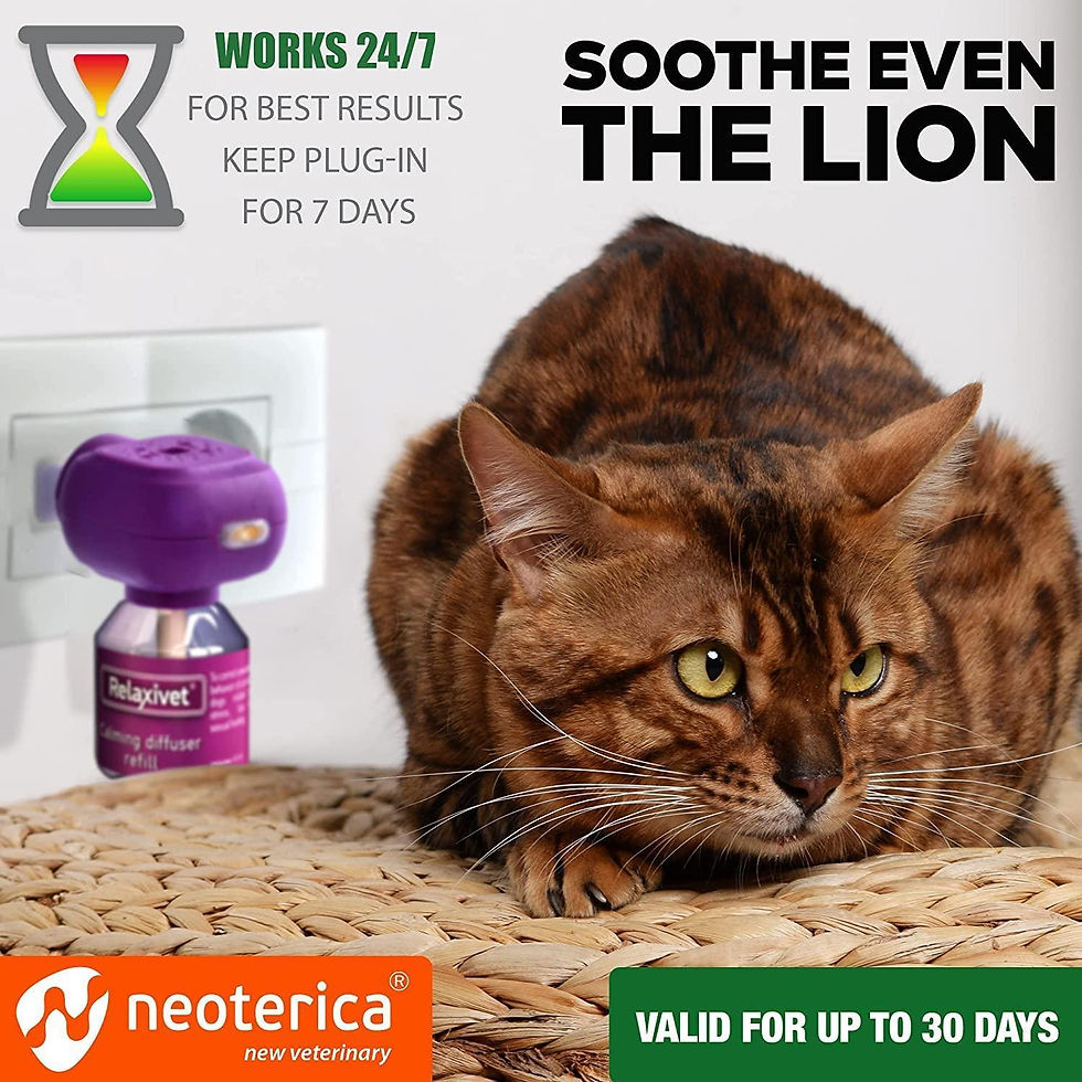 Thumbnail: Cat Calming Diffuser Pet Anti Anxiety Feline Calm Pheromones Plug In 2 Pack