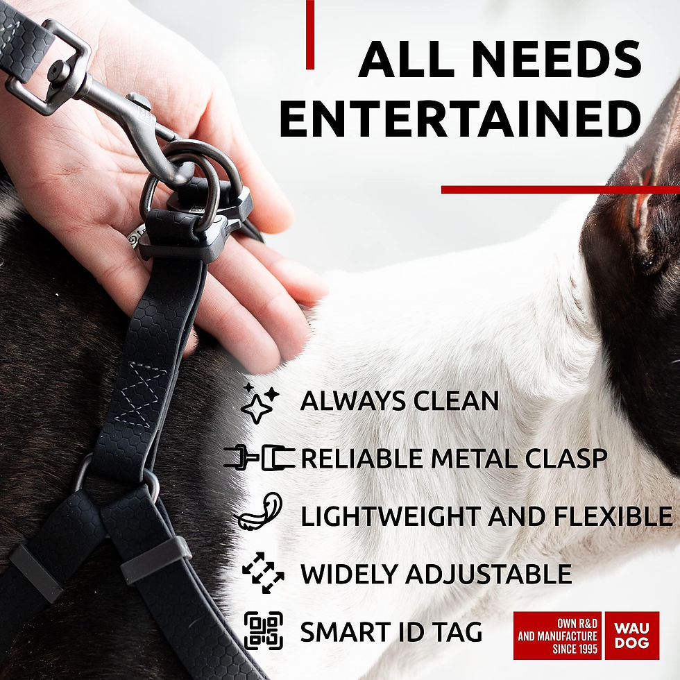 Thumbnail: Black Waterproof Dog Harness Adjustable for Small Dogs S Size 1622 inch