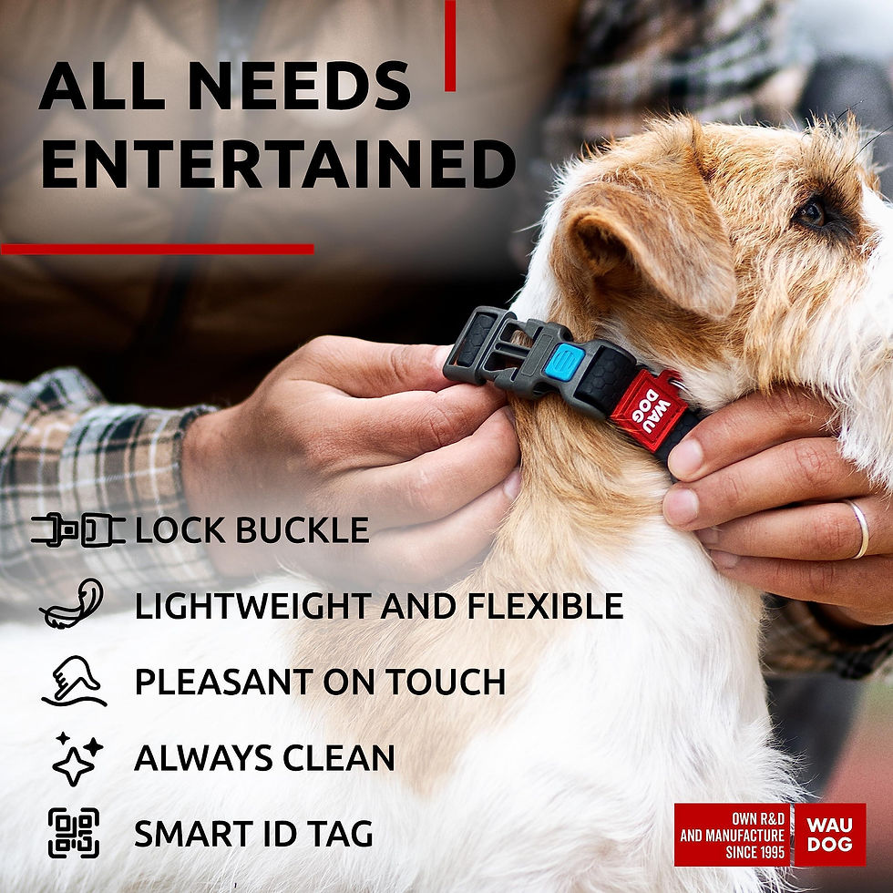 Thumbnail: Black Waterproof Dog Collar Adjustable for Small Dog 914 in Neck Plastic Buckle