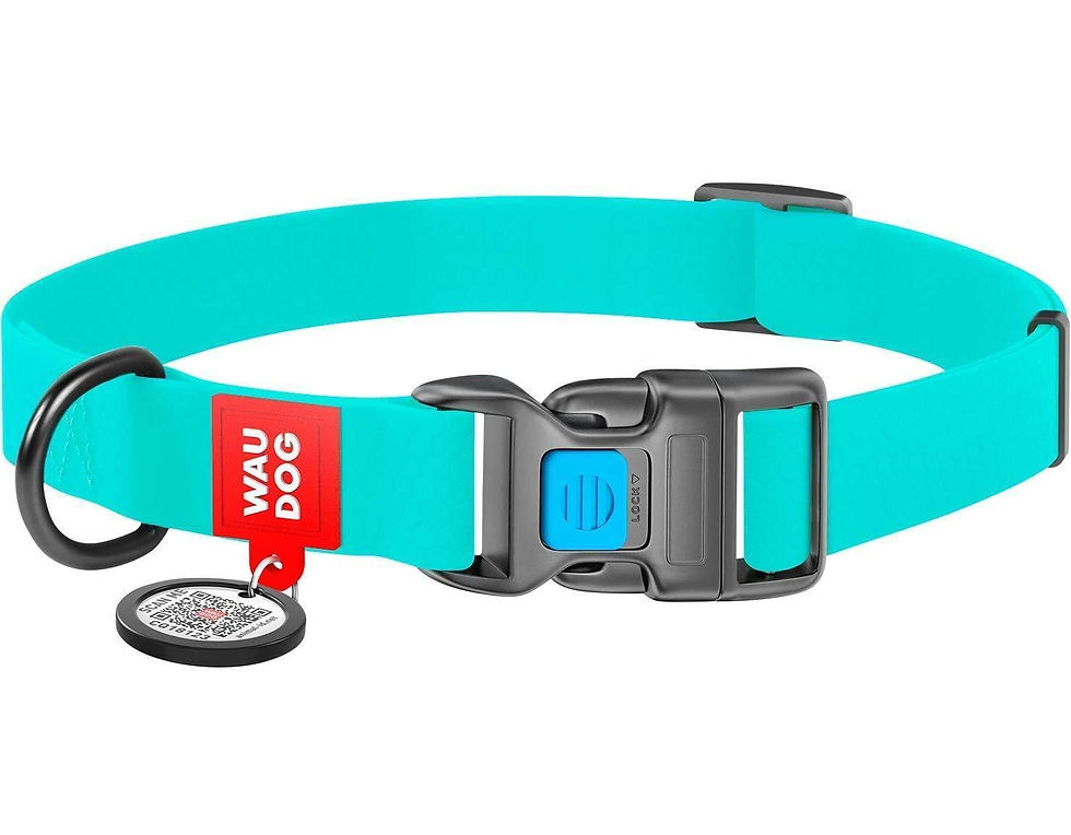 Thumbnail: Waterproof Dog Collar Heavy Duty Adjustable for Medium Dogs M Size Glow in Dark