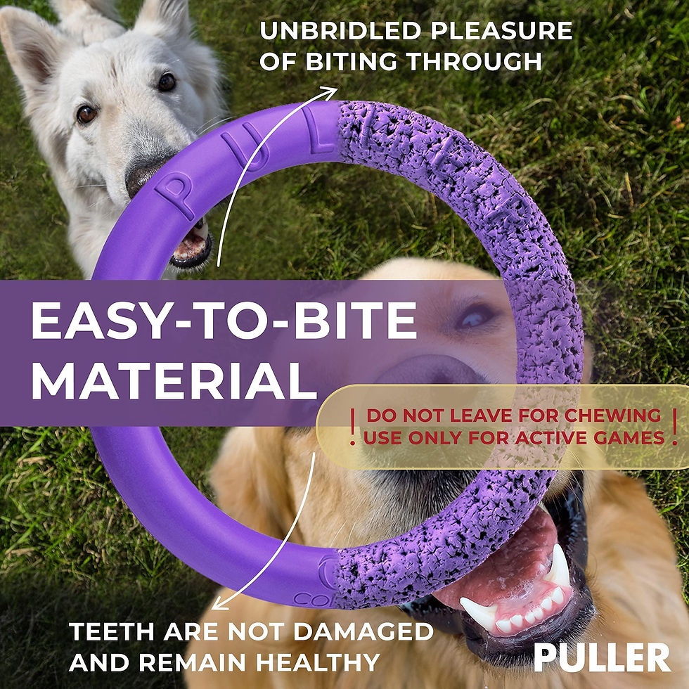 Thumbnail: Puller Outdoor Dog Ring Toys Dog Fetch for Large Dogs Standard Size 2 Rings