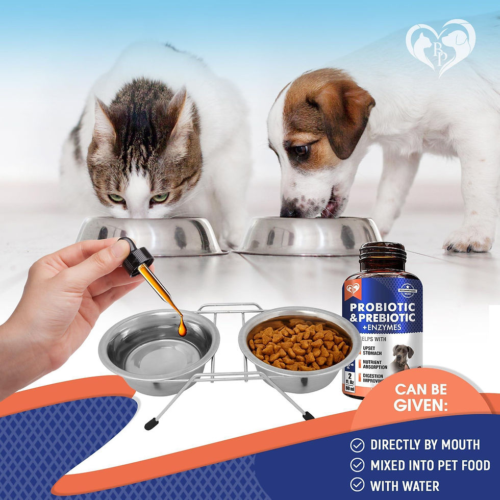 Thumbnail: Probiotics Prebiotics with Enzymes for Dogs and Cats Digestive Gut Flora Health