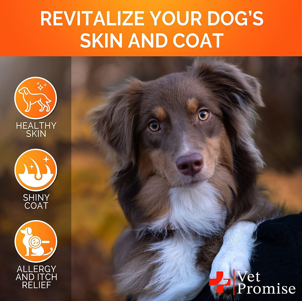 Thumbnail: Omega 3 for Dogs Dog Skin and Coat Supplement Fish Oil for Dogs Chews 120 Treats